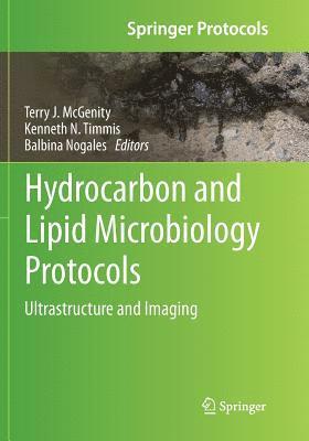 bokomslag Hydrocarbon and Lipid Microbiology Protocols