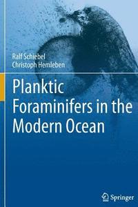 bokomslag Planktic Foraminifers in the Modern Ocean