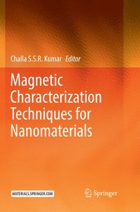 bokomslag Magnetic Characterization Techniques for Nanomaterials