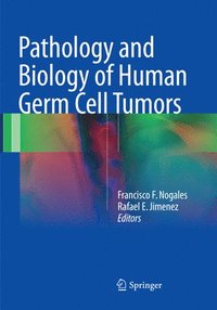 bokomslag Pathology and Biology of Human Germ Cell Tumors