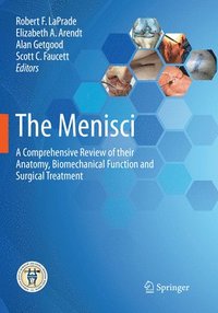 bokomslag The Menisci