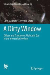 bokomslag Dirty Window
