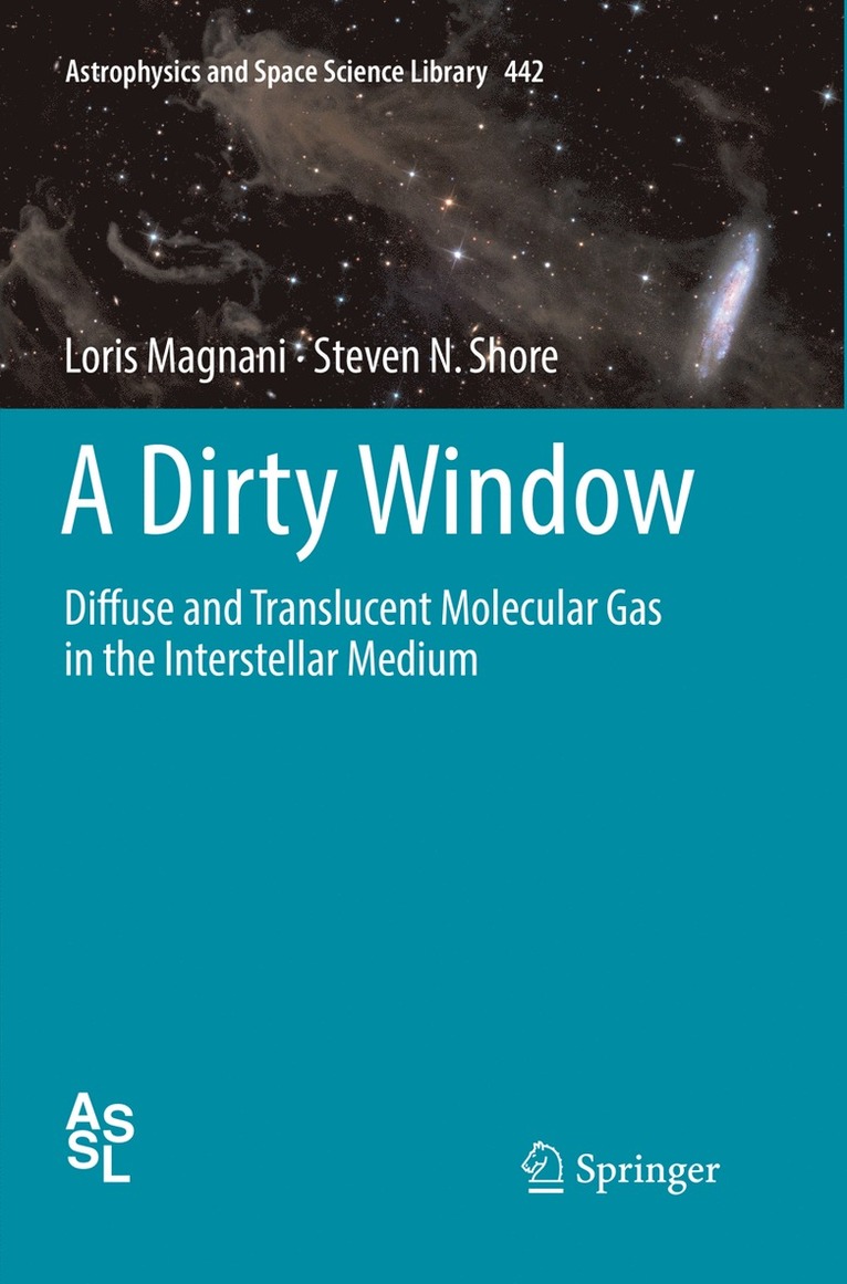 Loris Magnani, Steven N. Shore - Dirty Window, Häftad