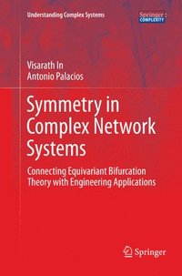bokomslag Symmetry in Complex Network Systems
