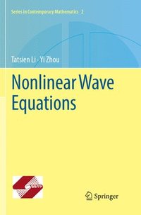 bokomslag Nonlinear Wave Equations