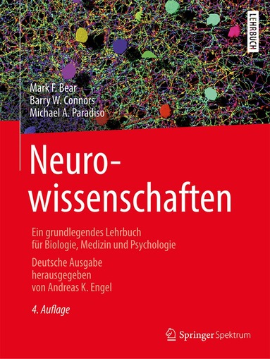 Mark F. Bear, Barry W. Connors, Michael A. Paradiso, Andreas K. Engel - Neurowissenschaften, Inbunden