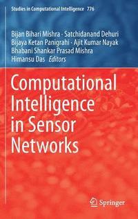 bokomslag Computational Intelligence in Sensor Networks