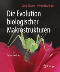 bokomslag Die Evolution biologischer Makrostrukturen