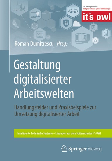 Roman Dumitrescu - Gestaltung digitalisierter Arbeitswelten, Häftad
