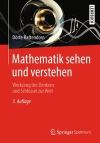 bokomslag Mathematik sehen und verstehen