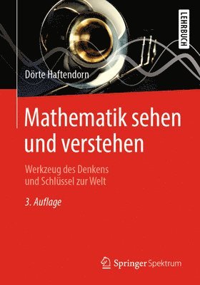 bokomslag Mathematik sehen und verstehen