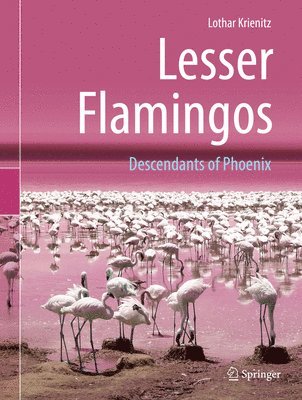 bokomslag Lesser Flamingos