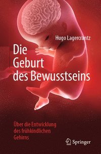 bokomslag Die Geburt des Bewusstseins