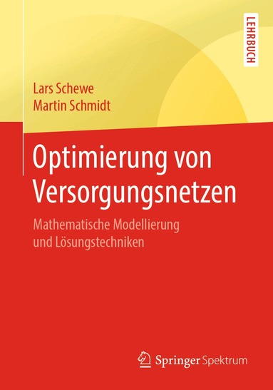 Lars Schewe, Martin Schmidt - Optimierung von Versorgungsnetzen, Häftad
