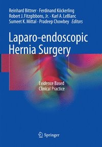 bokomslag Laparo-endoscopic Hernia Surgery