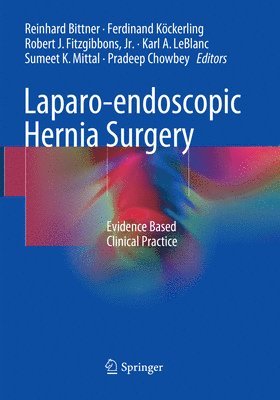 bokomslag Laparo-endoscopic Hernia Surgery