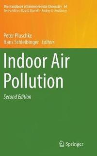 bokomslag Indoor Air Pollution