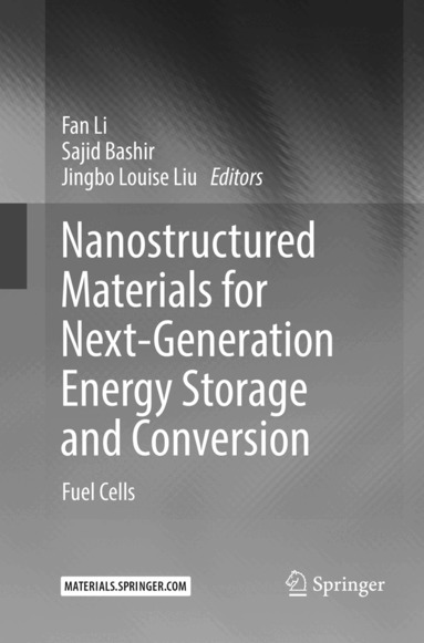 Fan Li, Sajid Bashir, Jingbo Louise Liu - Nanostructured Materials for Next-Generation Energy Storage and Conversion, Häftad