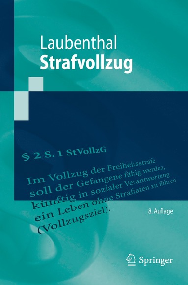 bokomslag Strafvollzug