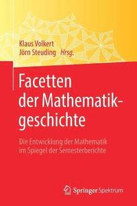 bokomslag Facetten der Mathematikgeschichte