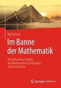 bokomslag Im Banne der Mathematik