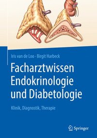 bokomslag Facharztwissen Endokrinologie und Diabetologie