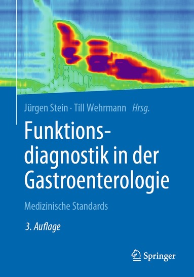 Jürgen Stein, Till Wehrmann - Funktionsdiagnostik in der Gastroenterologie, Häftad