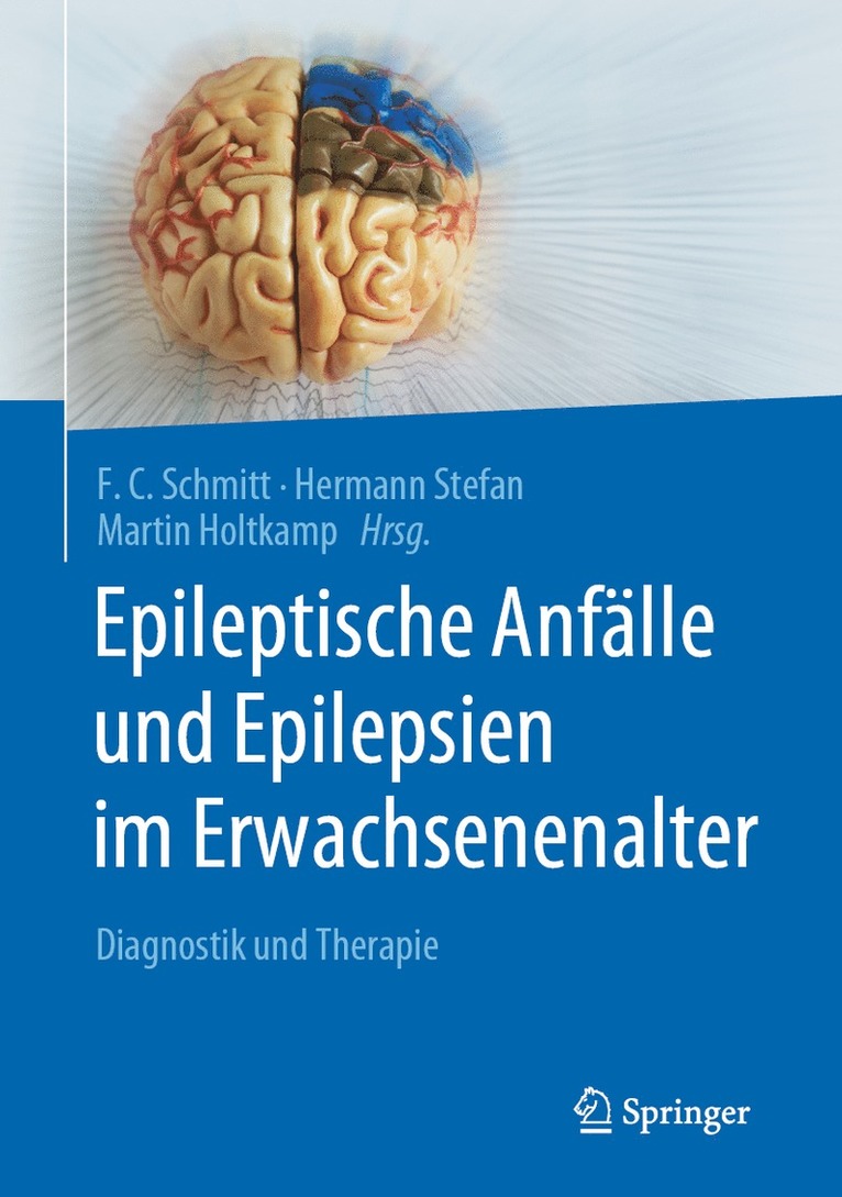 F.C. Schmitt, Hermann Stefan, Martin Holtkamp, F. C. Schmitt - Epileptische Anfälle und Epilepsien im Erwachsenenalter, Inbunden