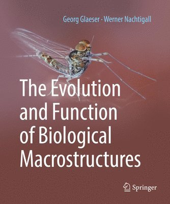 The Evolution and Function of Biological Macrostructures 1