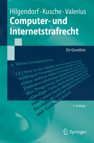 Eric Hilgendorf, Carsten Kusche, Brian Valerius - Computer- und Internetstrafrecht, Häftad
