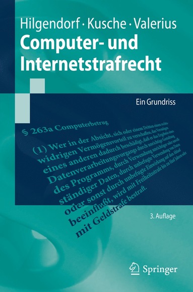 bokomslag Computer- und Internetstrafrecht