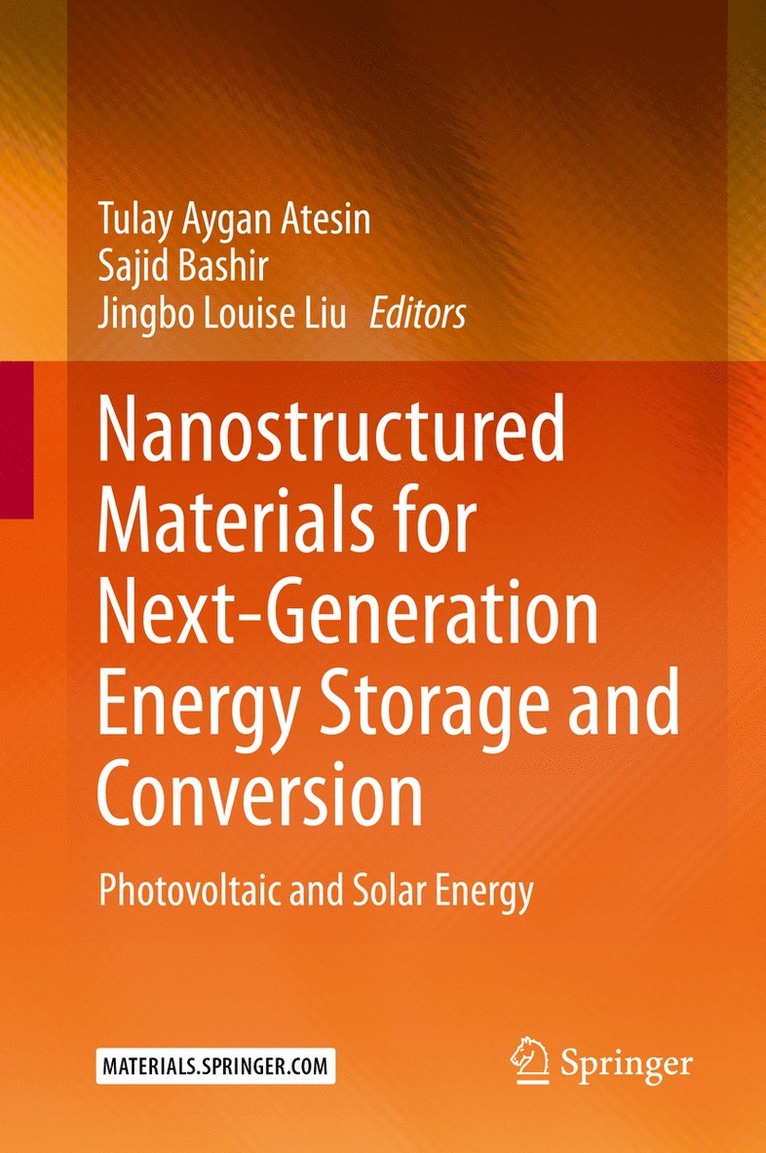 Tulay Aygan Atesin, Sajid Bashir, Jingbo Louise Liu - Nanostructured Materials for Next-Generation Energy Storage and Conversion, Inbunden