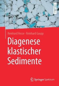 bokomslag Diagenese klastischer Sedimente