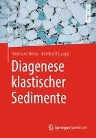 bokomslag Diagenese klastischer Sedimente