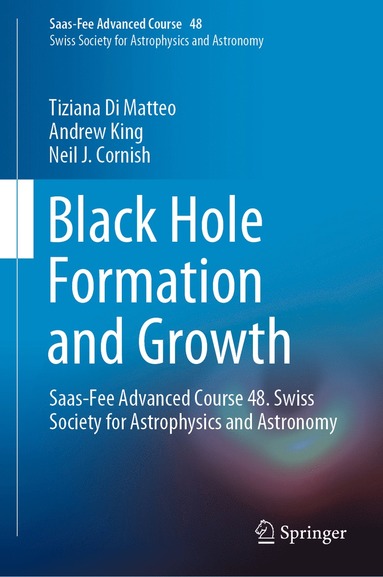 bokomslag Black Hole Formation and Growth