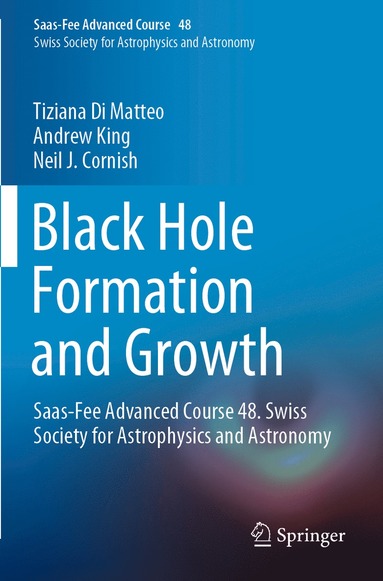 bokomslag Black Hole Formation and Growth
