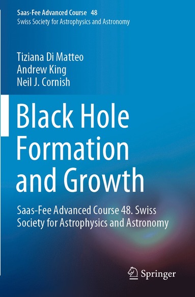 bokomslag Black Hole Formation and Growth