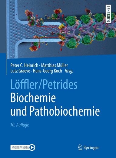 Peter C. Heinrich, Matthias Müller, Lutz Graeve, Hans-Georg Koch - Löffler/Petrides Biochemie und Pathobiochemie, Inbunden