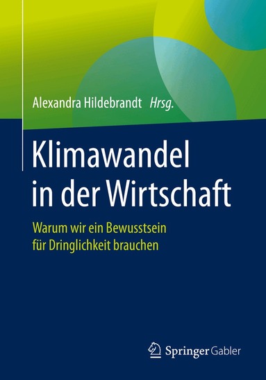 Alexandra Hildebrandt - Klimawandel in der Wirtschaft, Häftad