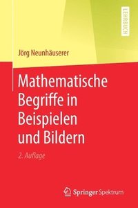 bokomslag Mathematische Begriffe in Beispielen und Bildern