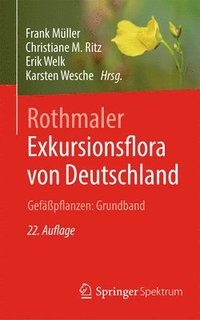 bokomslag Rothmaler - Exkursionsflora von Deutschland. Gefpflanzen: Grundband