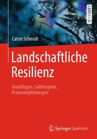 bokomslag Landschaftliche Resilienz