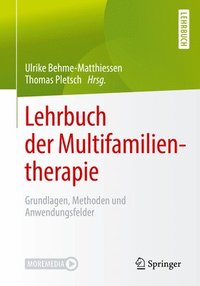 bokomslag Lehrbuch der Multifamilientherapie