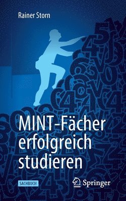 bokomslag MINT-Fcher erfolgreich studieren