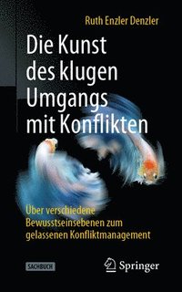 bokomslag Die Kunst des klugen Umgangs mit Konflikten