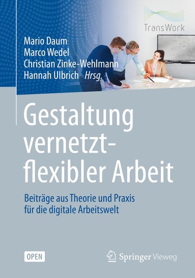 bokomslag Gestaltung vernetzt-flexibler Arbeit