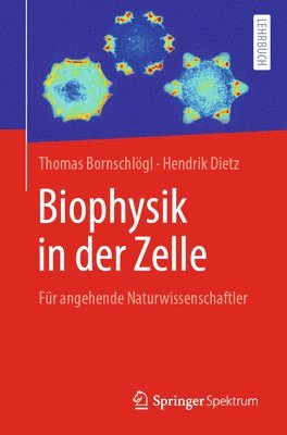 bokomslag Biophysik in der Zelle