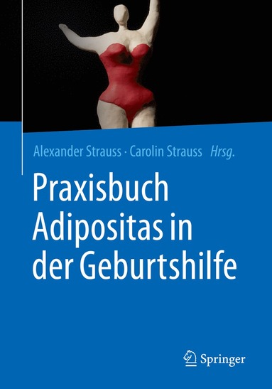 bokomslag Praxisbuch Adipositas in der Geburtshilfe