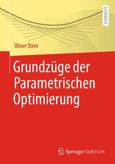 Oliver Stein - Grundzüge der Parametrischen Optimierung, Häftad