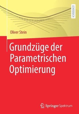 bokomslag Grundzge der Parametrischen Optimierung